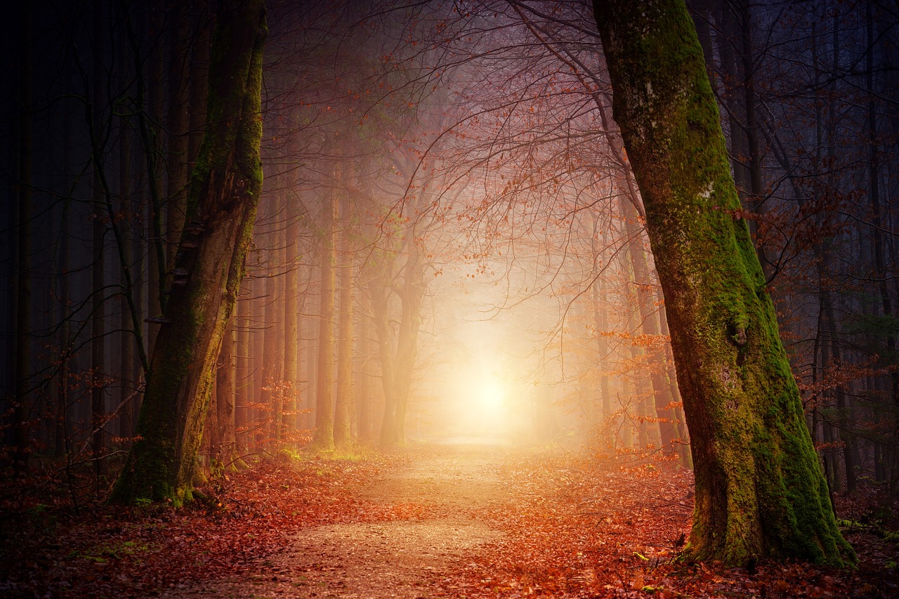 Chi fa il male odia la luce
